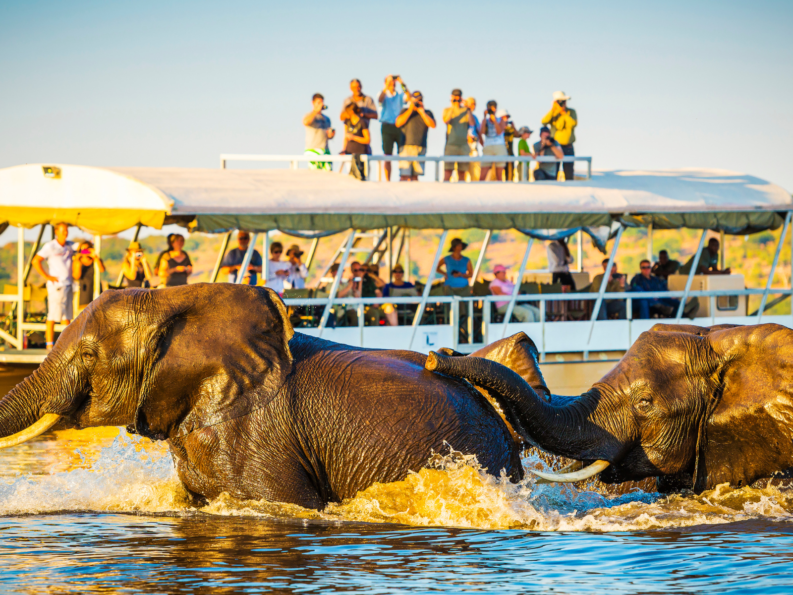 Africa Safari Tour